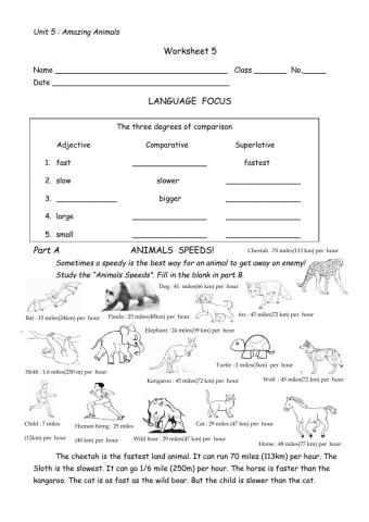 comparions : Animals Speeds