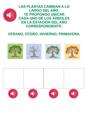 Cambios en las plantas según las estaciones