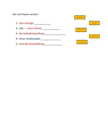 Wer will Popstar werden