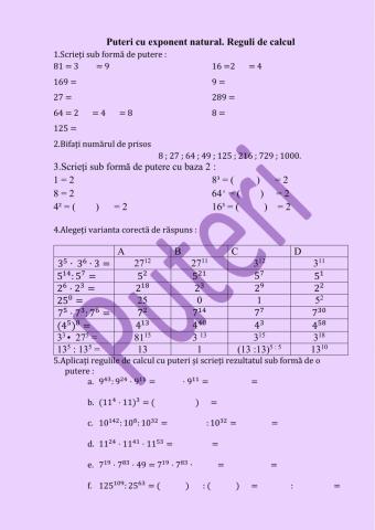 Puterea cu exponent natural. Reguli de calcul.Tema pentru acasă