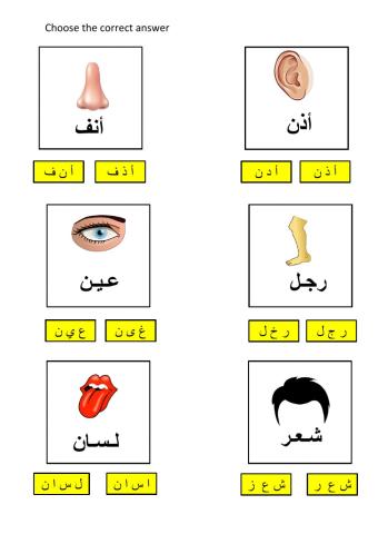 صل بين الكلمة و الصورة