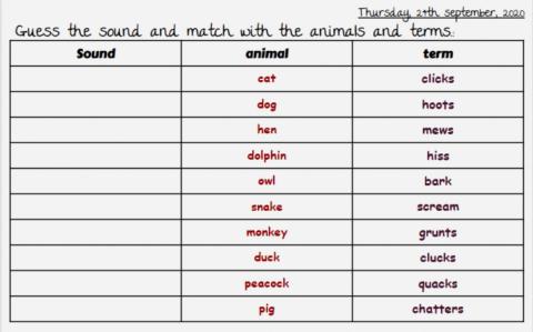 Sound of animals
