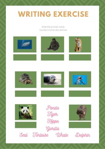 Wild Animals- reading