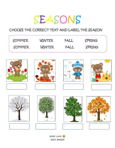Seasons