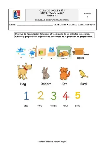 WORKSHEET -21 Where is it? for NT1