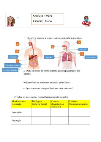 Sistem digestorio e respiratorio