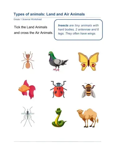 Animals in the air and land