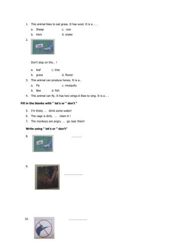 Latihan pts Bahasa Inggris