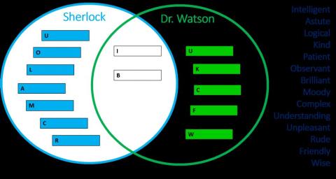 Comparing Sherlock Holmes' Character with Dr. Watson's
