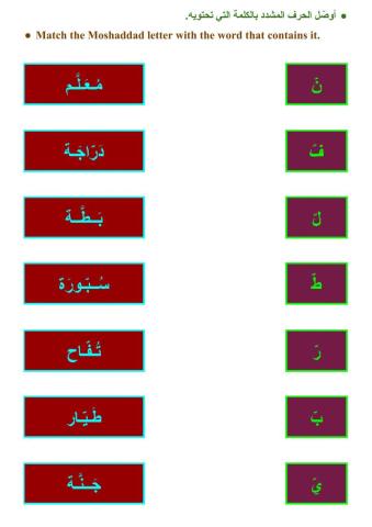 الحرف المشدد - ١