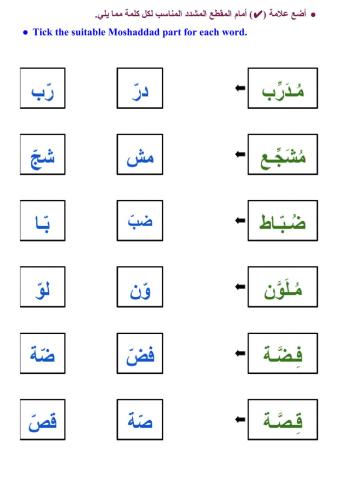 المقطع المشدد - ٢