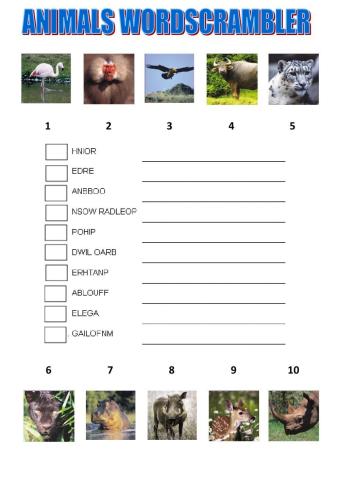 WORD SCRAMBLER. Drag and drop animals tiger team 5 macmillan