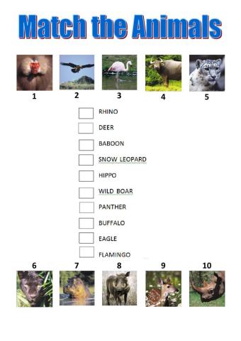 Drag and drop animals tiger team 5 macmillan