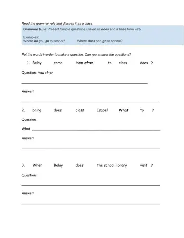 The Present Simple Questions