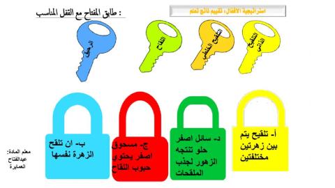 ورقة عمل مغطاة البذور