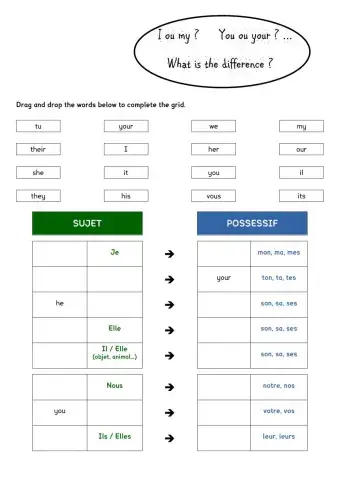 Pronouns (subject and possessive)