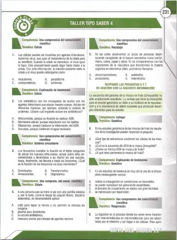 Taller Pruebas saber 11