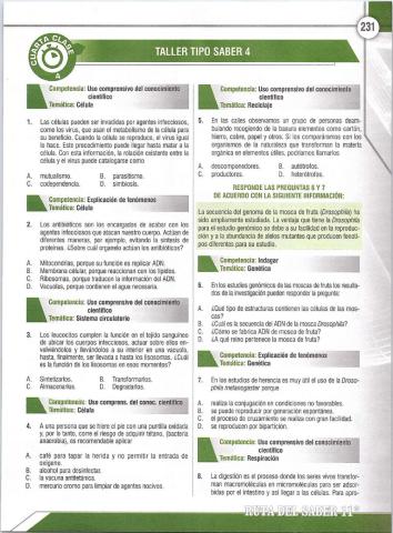 Taller Pruebas saber 11