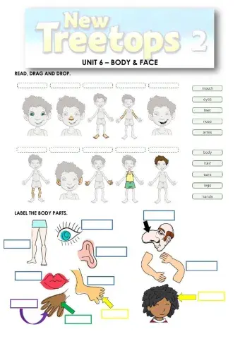 Parts of the body - newtreetops 2 - unit 6