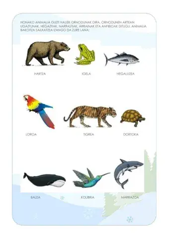 Ornodunak sailkatzen