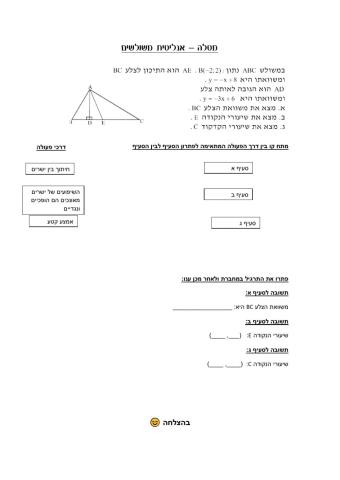 אנליטית ישרים 803