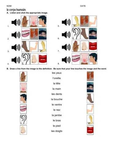 Le corps humain with audio