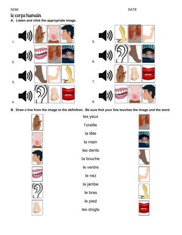 Le corps humain with audio