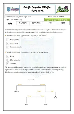 Let-s get to work-dichotomous key-third term-2020