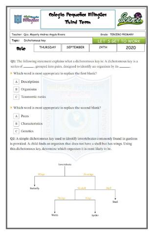 Let-s get to work-dichotomous key-third term-2020