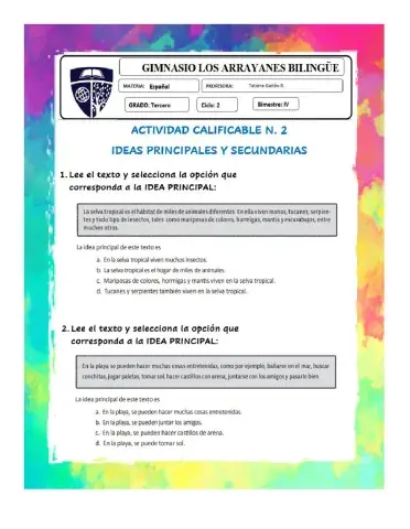 Idea principal y secundaria