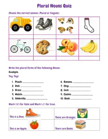 Plural Nouns Quiz