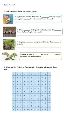 Junior - Present simple