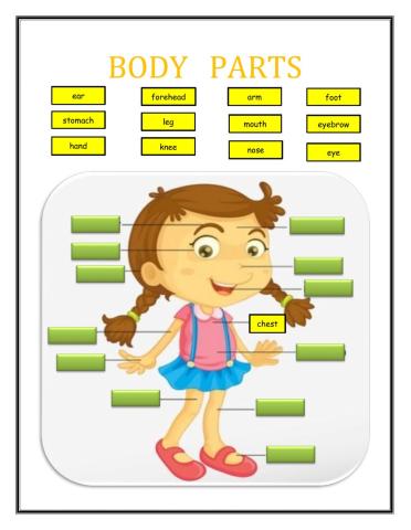 BODY PARTS