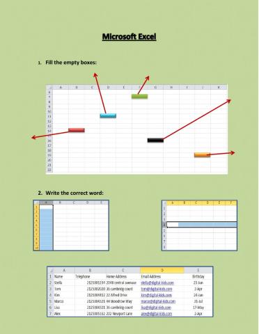 Microsoft Excel