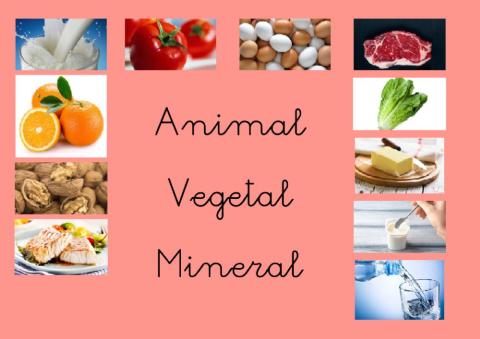 Origen de los alimentos