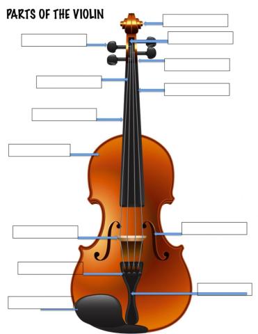 Parts of the violin