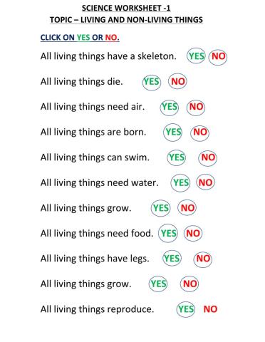 Living and non living