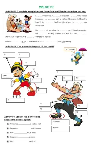 Mini Test Nº7- Parts of the body+have-has got