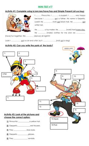 Mini Test Nº7- Parts of the body+have-has got