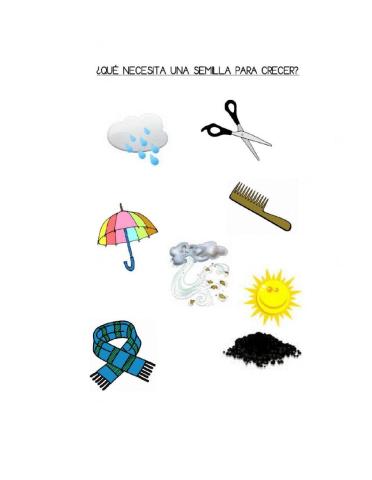 ¿Qué necesita una semilla para crecer?