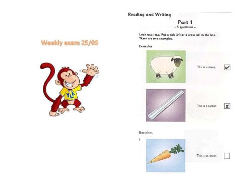 Starters - Reading and writing