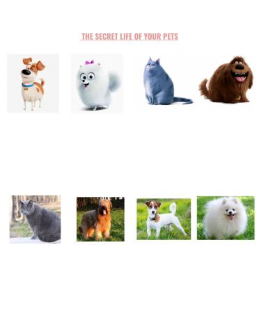 The Secret Life of My Pets - match