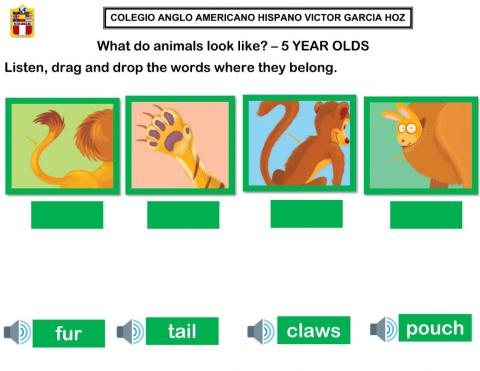What do animals look like? 2 – 5 YEAR OLDS