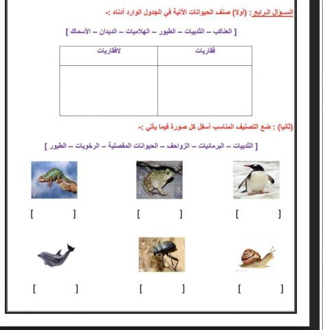 تدريب تصنيف الحيوانات 2