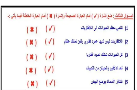صح وخطأ تصنيف الحيوانات