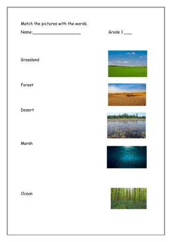 Different Types of Environment