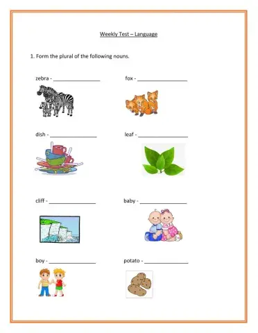 Weekly Test Language