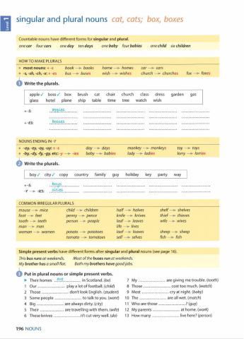 Plurals Practice