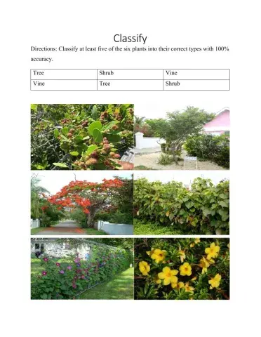 Plant Growth and Responses