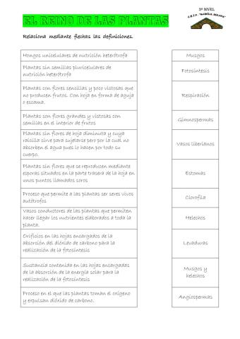 Definiciones plantas